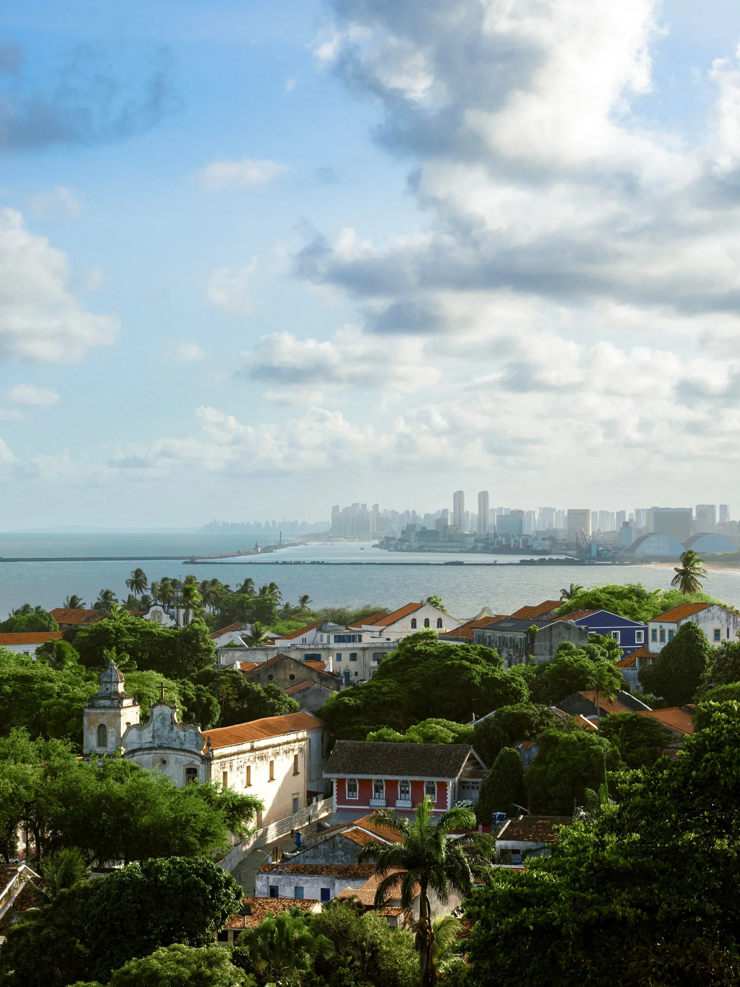 Vista do alto de Olinda: telhados de telha vermelha entre árvores, o mar e a cidade do Recife no horizonte